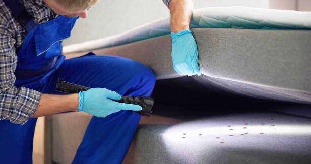 Best Pest Removal Services  in Moscow, ID